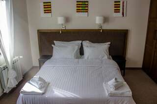 Отель Trigrad Hotel Триград Стандартный двухместный номер с 1 кроватью или 2 отдельными кроватями-1