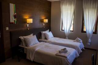 Отель Trigrad Hotel Триград Стандартный двухместный номер с 1 кроватью или 2 отдельными кроватями-3
