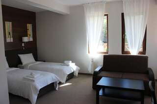 Отель Trigrad Hotel Триград Двухместный номер Делюкс с 1 кроватью или 2 отдельными кроватями и балконом-4